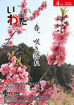 広報いわた平成29年4月号表紙：里山に春が来た。満開の花桃（ 敷地里山公園で）
