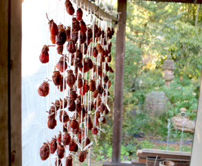 写真：吊るしてある干し柿