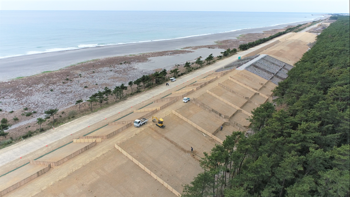 海岸防災林工区写真