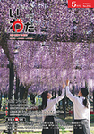 広報いわた平成29年5月号表紙：満開の藤の花（豊田熊野記念公園で）