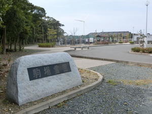 写真：駒場霊園