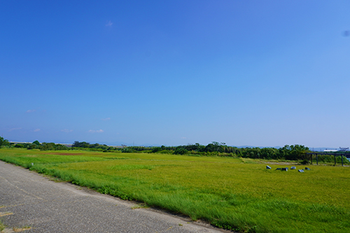 写真：はまぼう公園