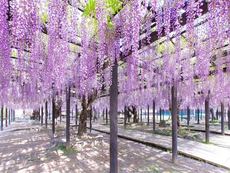 写真：豊田熊野記念公園