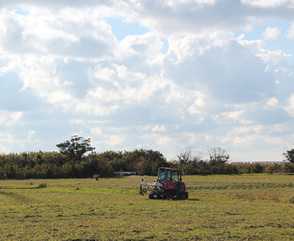 畑で作業するトラクターの写真