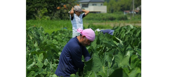 写真：農業に勤しむ人の様子