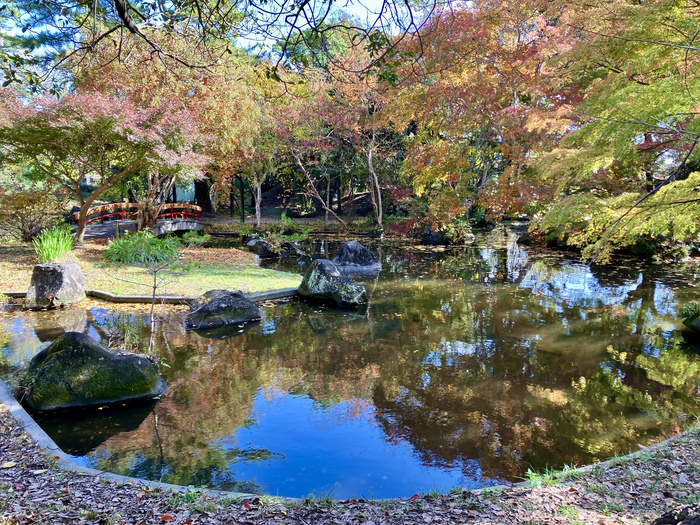 つつじ公園の秋