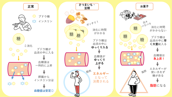 糖質による血糖値の上がり方