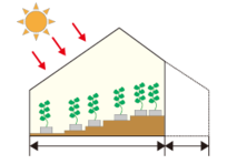 スリークォーター型温室の図