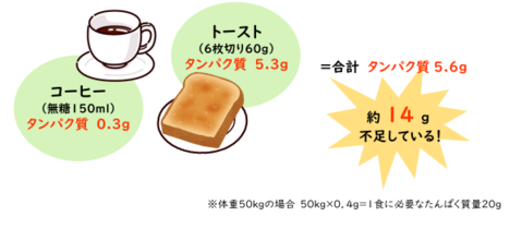 トーストとコーヒーのみの食事は、タンパク質が14g不足する