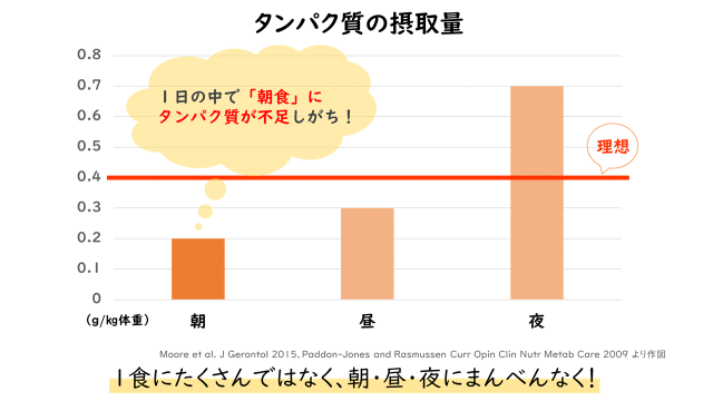 1日のタンパク質の摂取量グラフ