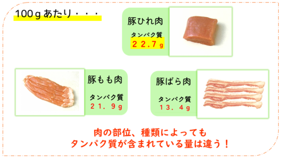 肉の部位、種類によって含まれるタンパク質の量が異なる
