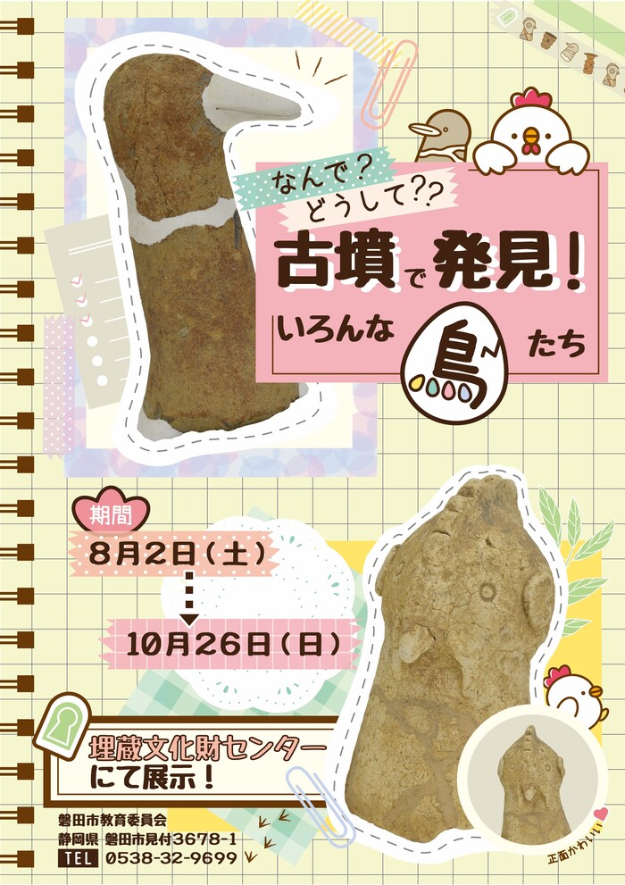 古墳で発見！いろんな鳥たちチラシ