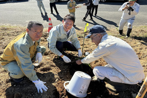 早成桐試験栽培 視察