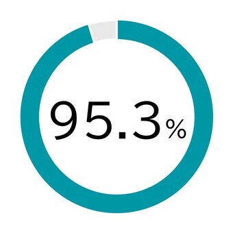 95.3%