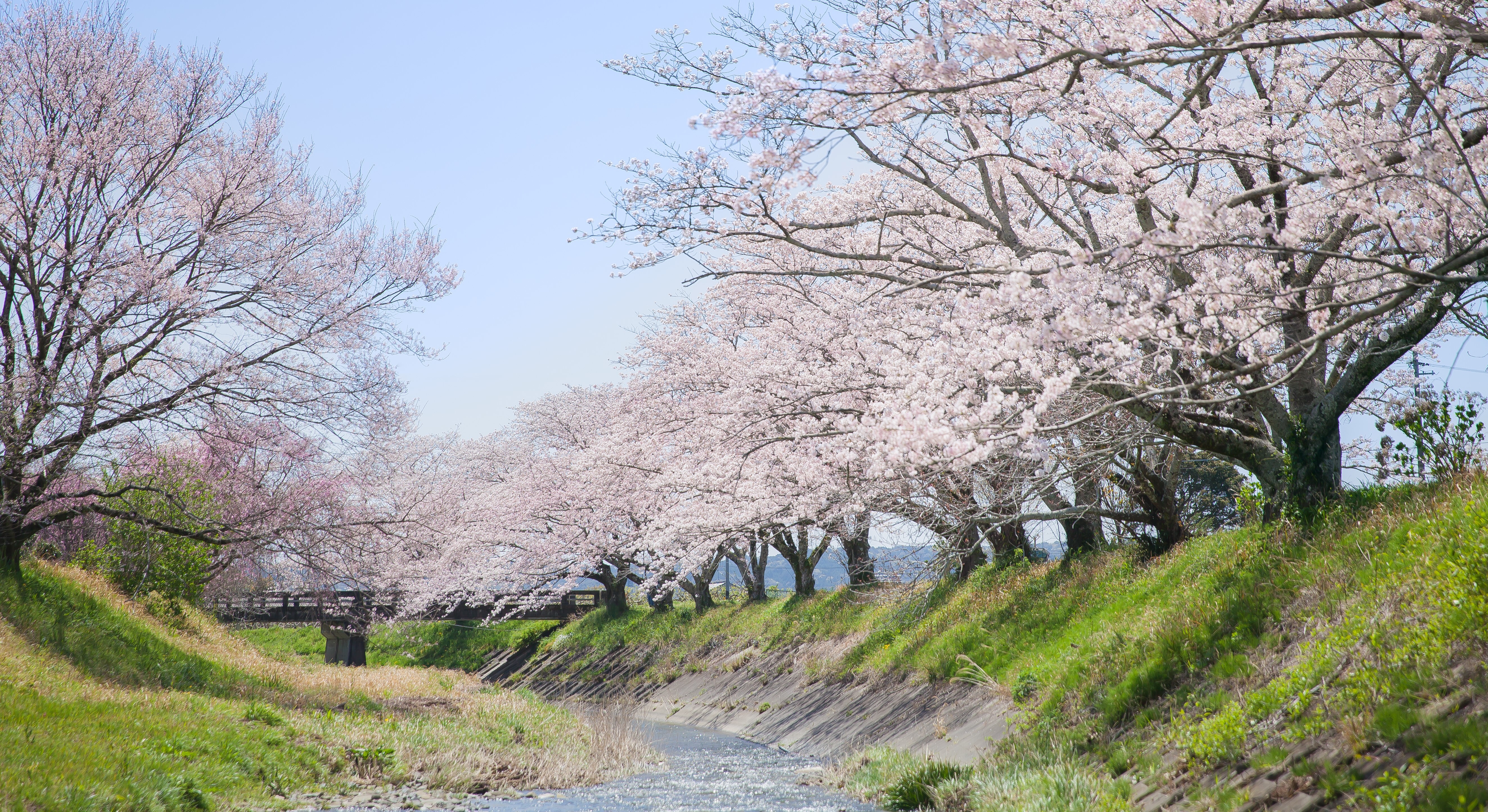 敷地川サムネイル画像